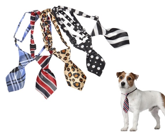 Abbigliamento per cani Camon per l'estate cravatte