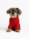 Abbigliamento per cani Ralph Lauren maglioncino