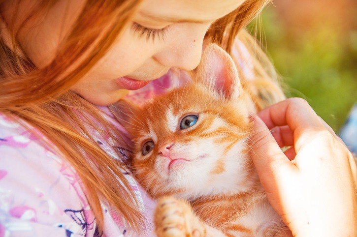 Gattino con bambina