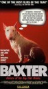 i film che hanno avuto come protagonisti i bull terrier