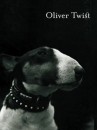 i film che hanno avuto come protagonisti i bull terrier