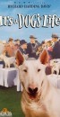 i film che hanno avuto come protagonisti i bull terrier