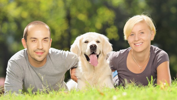 Le più belle frasi sull’amicizia tra cani ed esseri umani