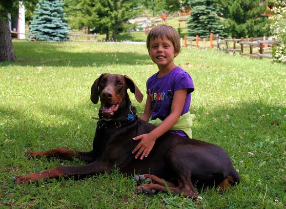 Cani e bambini: 10 regole fondamentali per la pacifica convivenza