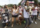 cani al Carnevale di Rio