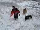 Foto cani e gatti che giocano nella neve 8