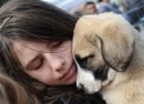 Foto di cani: le più belle e dolci