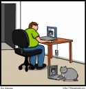 gatto vs internet