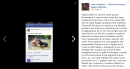 Reazioni di Facebook a come Giulia Calcaterra ha trattato il suo rottwailer