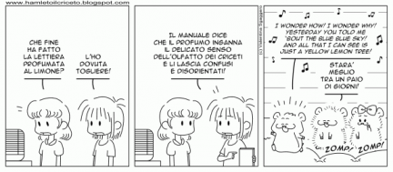 hamleto il criceto 06