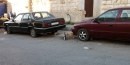 i gatti per le strade di Amman