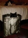 I sexy gatti di Abercrombie