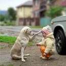 Il cane e la bambina: una storia d'amore