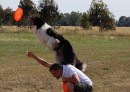 Nicola Ratti e il suo cane dei record