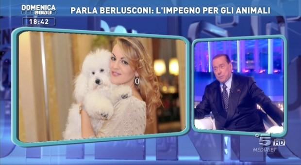 Silvio Berlusconi e l'impegno per gli animali da compagnia