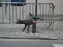 Statua di cane a Bruxelles