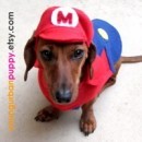 Vestiti per cani ispirati a Super Mario