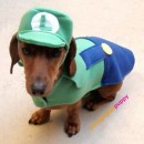 Vestiti per cani ispirati a Super Mario