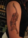 tatuaggi cani e gatti