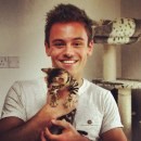 Tom Daley e i suoi gatti Bengala